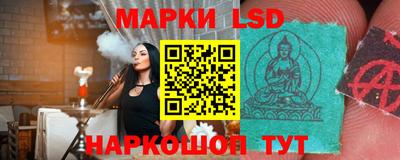 дмт Краснодар