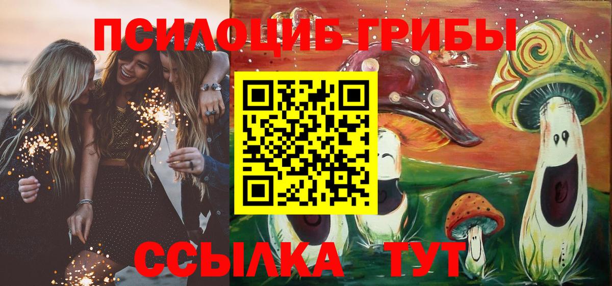 Галлюциногенные грибы Cubensis Кандалакша