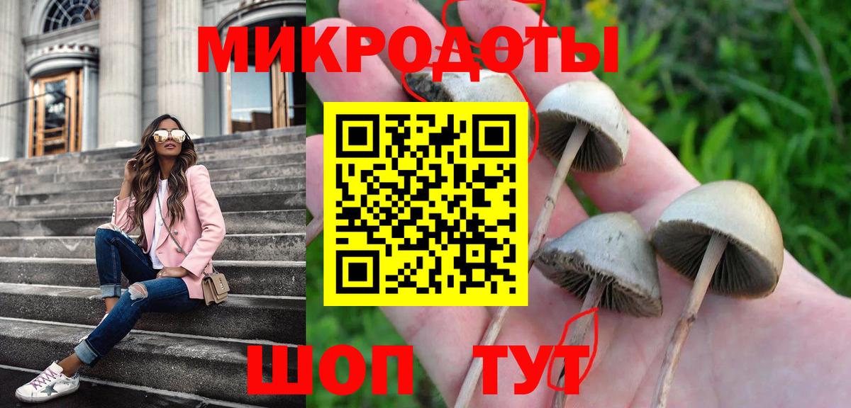 Кандалакша  Псилоцибиновые грибы GOLDEN TEACHER  Вход с VPN 